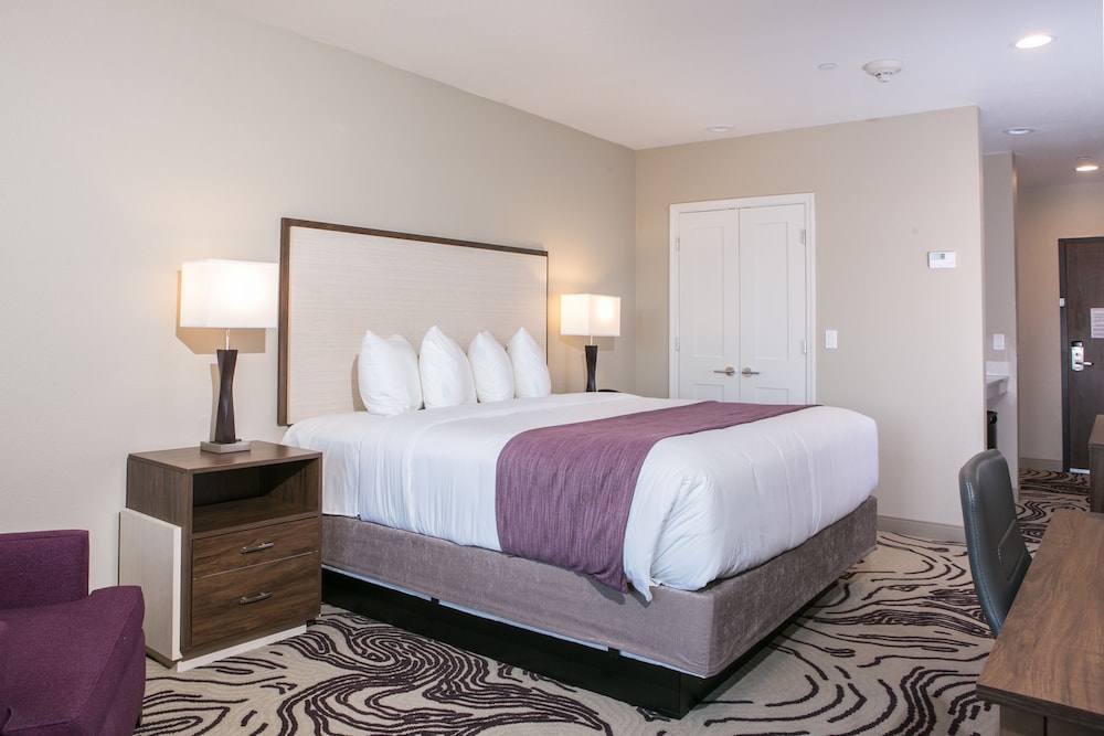 Room, 1 King Bed, Non Smoking - Photo 5