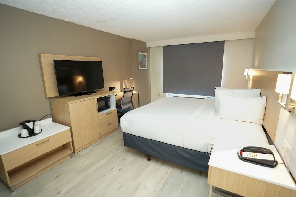 Room, 1 King Bed, Non Smoking (Mobility Accessible) - Photo 4