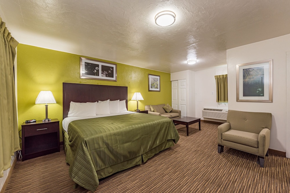Room, 1 King Bed photo 1