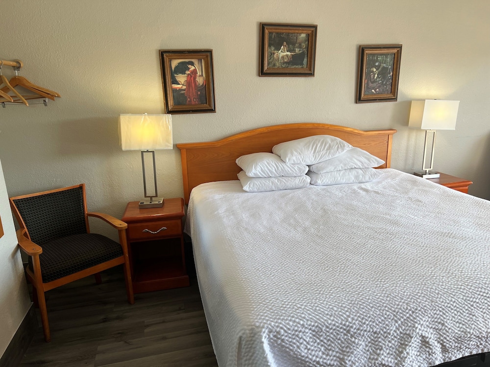 Standard Room, 1 King Bed, Smoking - Photo 6