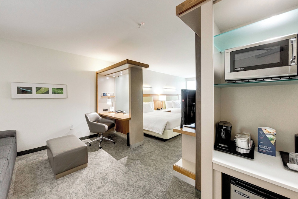 Suite, Multiple Beds - Photo 4