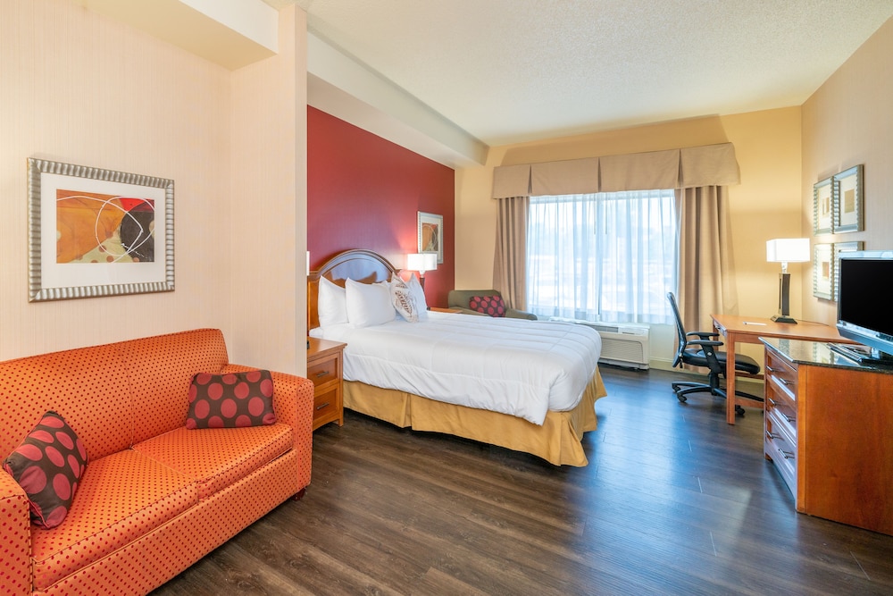 Deluxe Suite, 1 King Bed, Non Smoking, Refrigerator photo 1