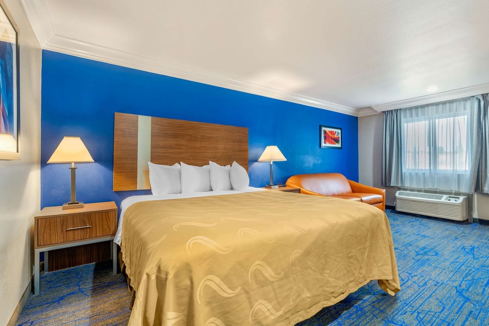 Studio Suite, 1 King Bed photo 1