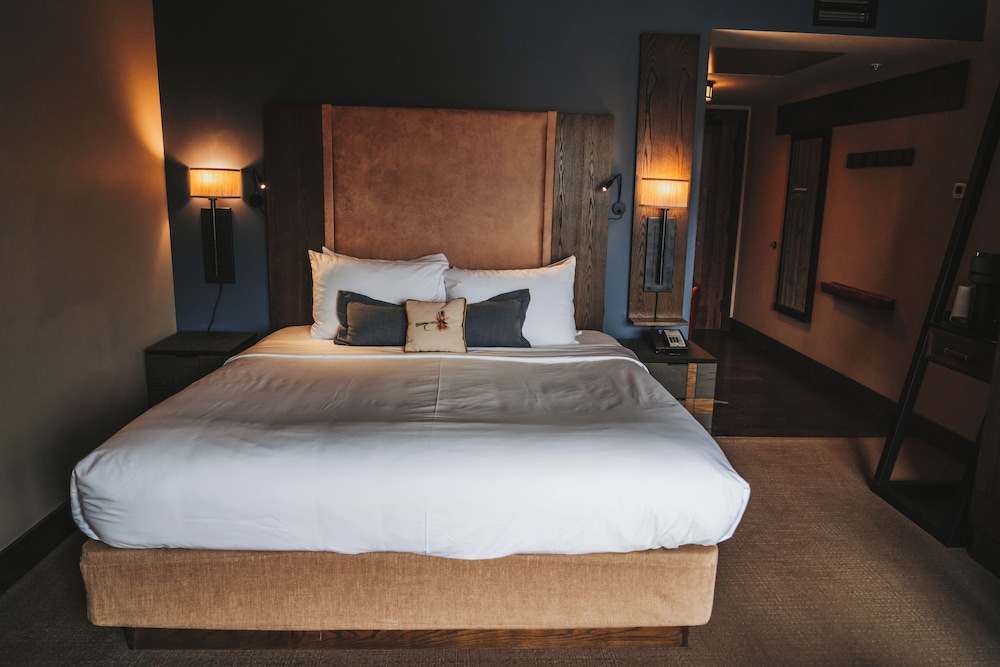 Room, 1 King Bed with Sofa bed, Mobility Accessible photo 2