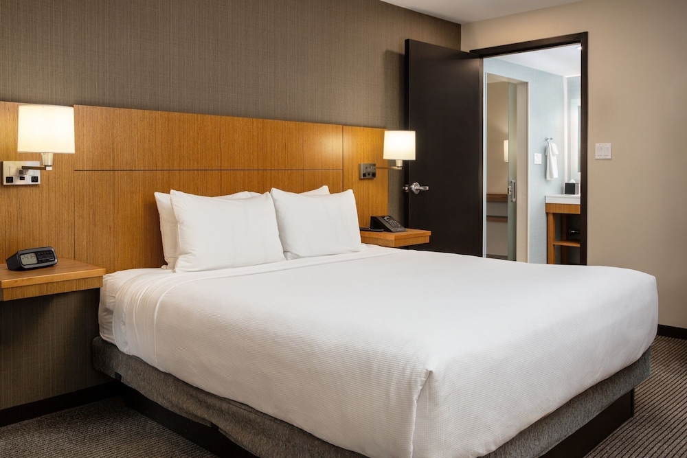 Suite, 1 King Bed with Sofa bed photo 1