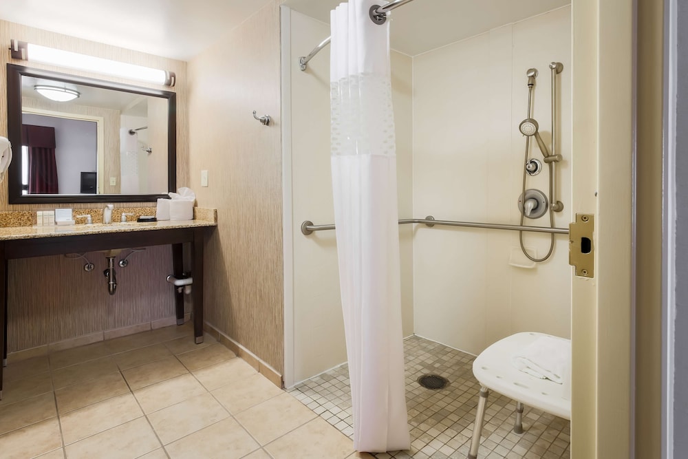 Room, 1 Queen Bed, Accessible, Non Smoking (Roll-in Shower) - Photo 6