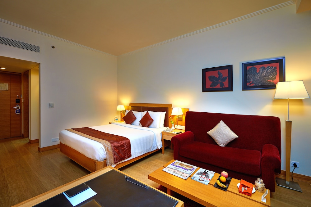 Deluxe Room - Photo 4