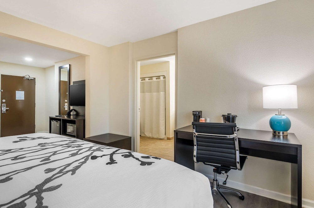 Suite, 1 King Bed with Sofa bed, Accessible, Non Smoking - Photo 5