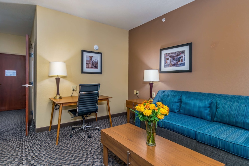 Standard Room, 1 King Bed, Accessible, Refrigerator & Microwave photo 3