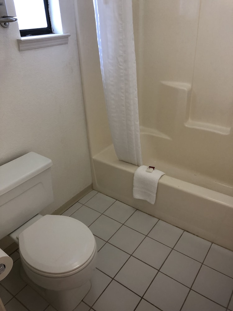 Room, Multiple Beds, Non Smoking - Photo 18