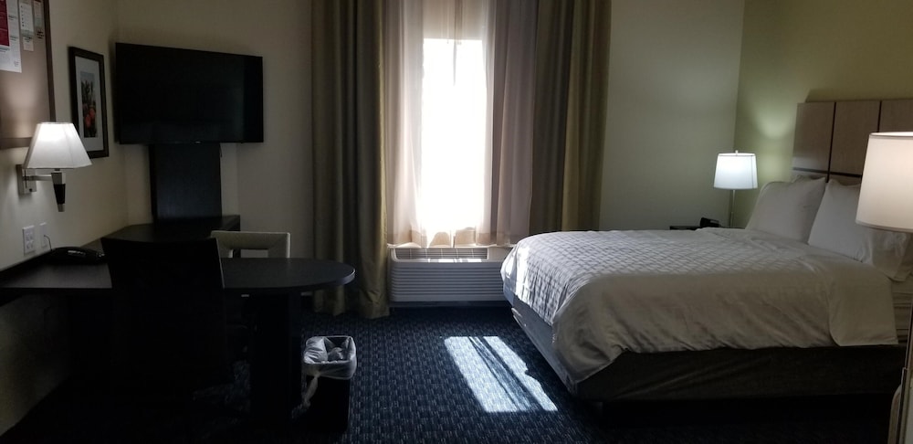 Studio Suite, 1 Queen Bed - Photo 2