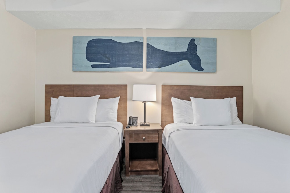 1 Bedroom Suite Two Double Beds w/ Sofa Sleeper Pool View photo 2