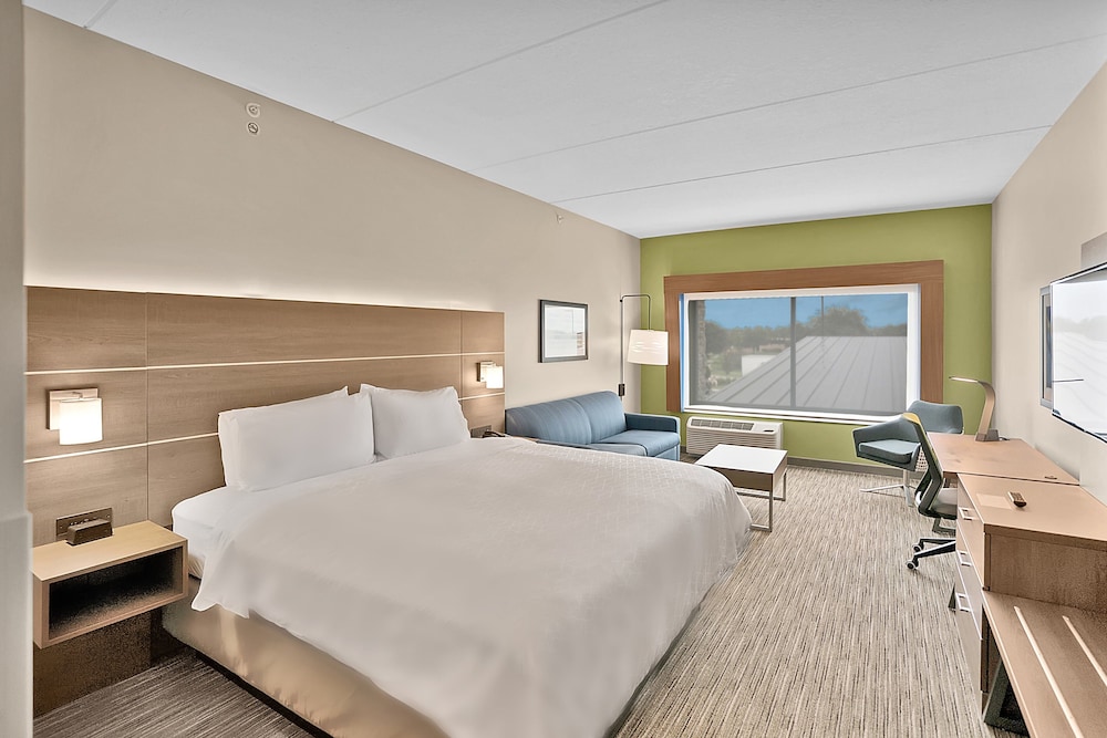 Suite, 1 King Bed - Photo 1