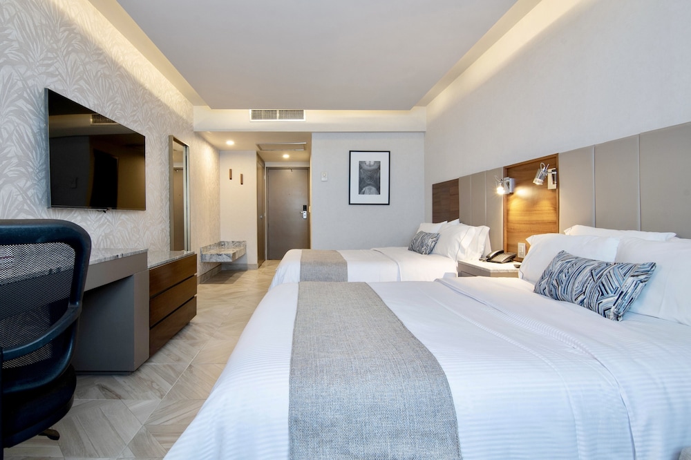 Executive Double Room - Photo 2