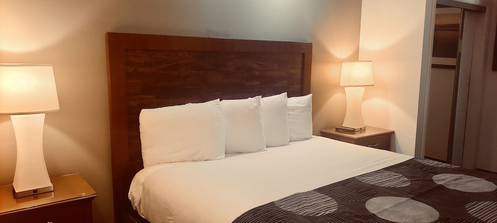Room, 1 Double Bed, Non Smoking photo 2