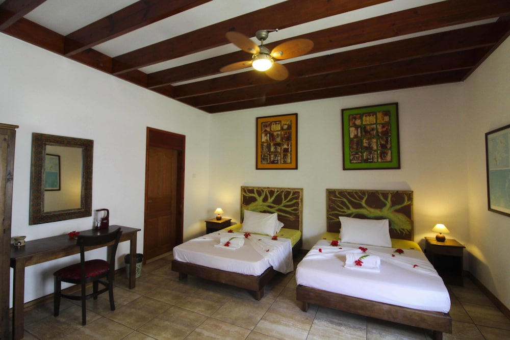 Double or Twin Room photo 3