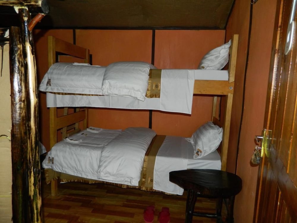 Tree House photo 2