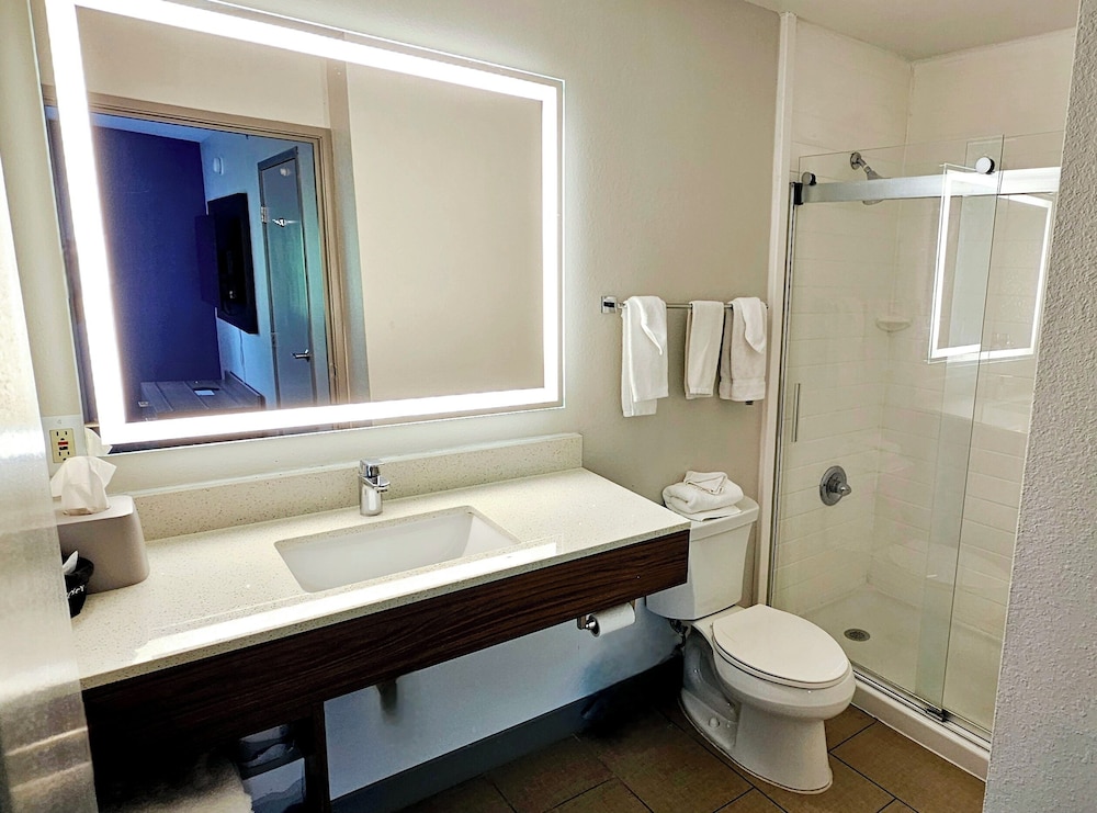 Suite, 1 King Bed, Accessible (Communications) - Photo 9