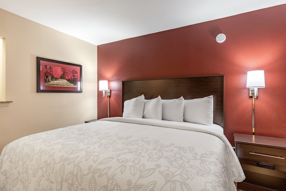 Deluxe Room, 1 King Bed, Accessible (Roll-In Shower, Smoke Free) - Photo 4