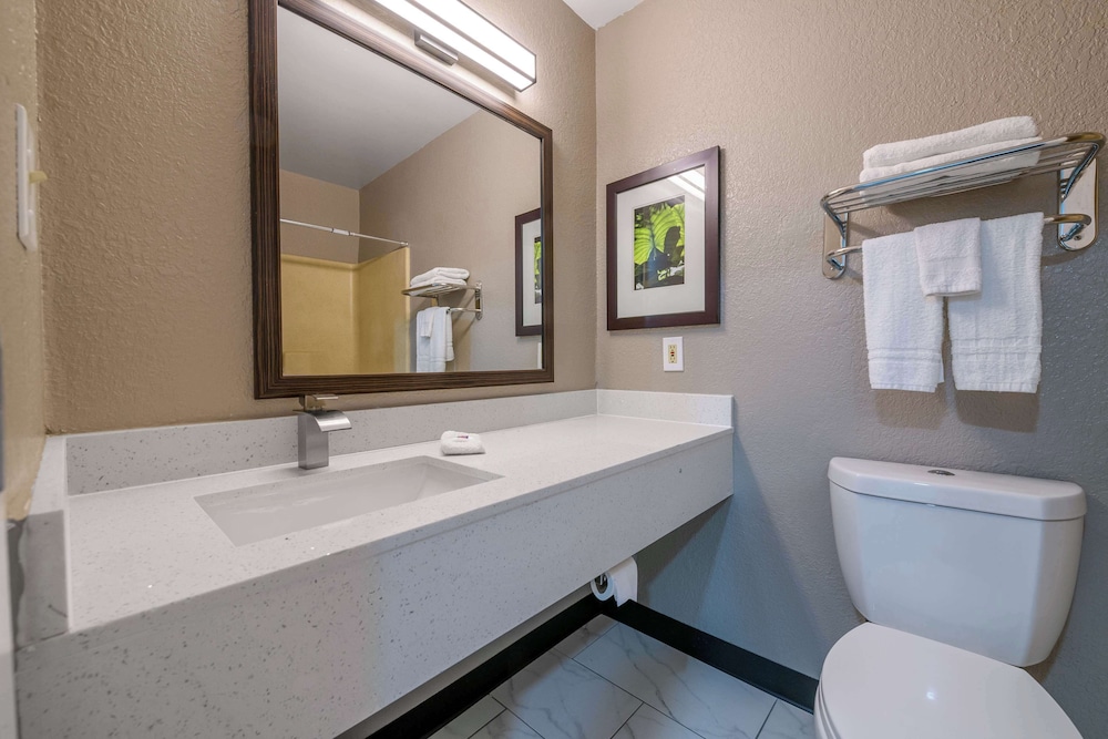 Standard Room, 1 Queen Bed, Non Smoking, Kitchenette - Photo 6