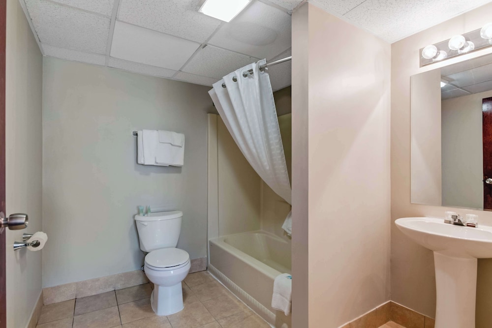 Suite, 1 King Bed, Kitchenette - Photo 3