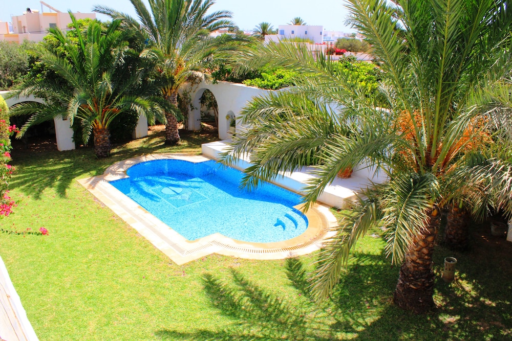 Premium Villa photo 3
