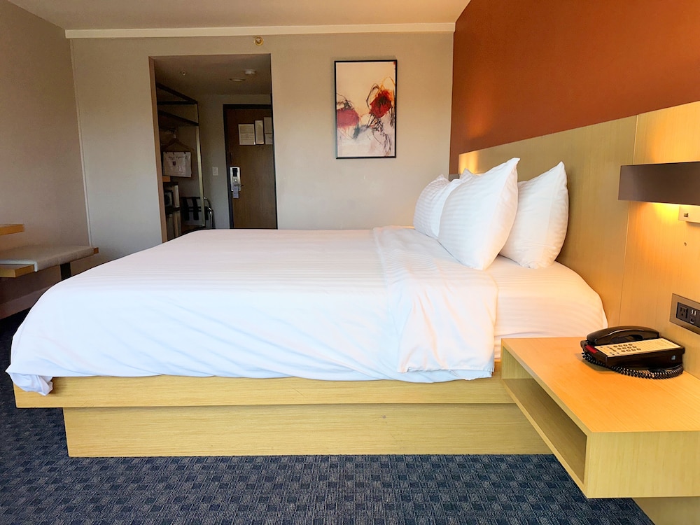 Single Room, Non Smoking - Photo 5