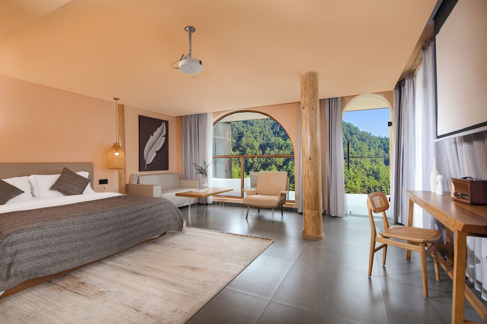 Luxury Single Room, Patio, Mountain View