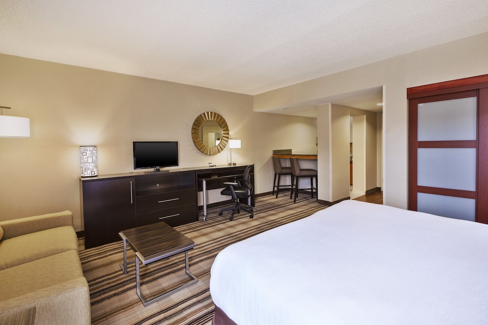 Suite, 1 King Bed With Sofa Bed