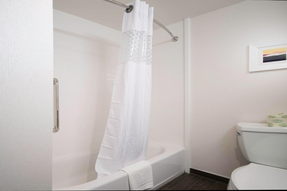 Studio, 1 King Bed with Sofa bed, Accessible, Non Smoking