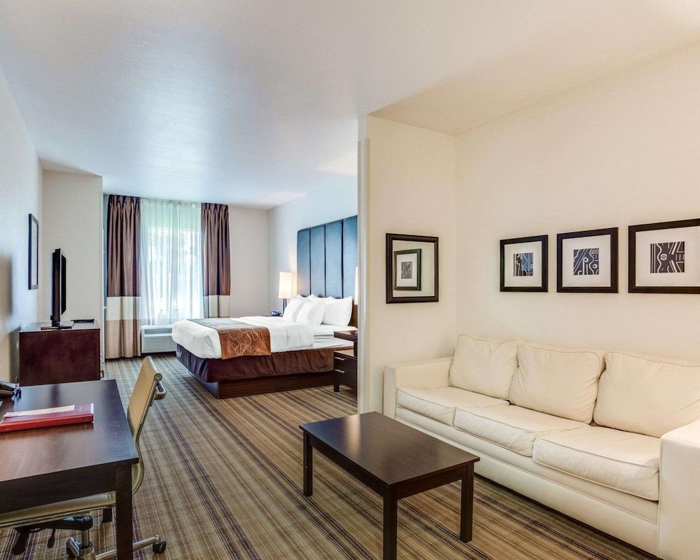 Suite, 1 King Bed, Non Smoking - Photo 2