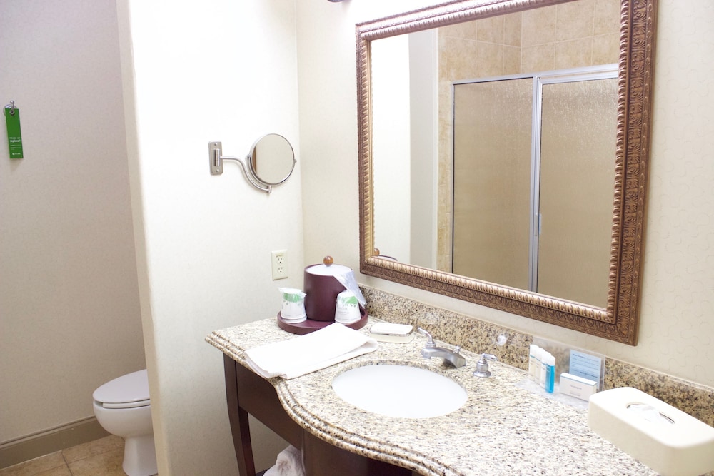 Room, 1 King Bed, Accessible - Photo 9