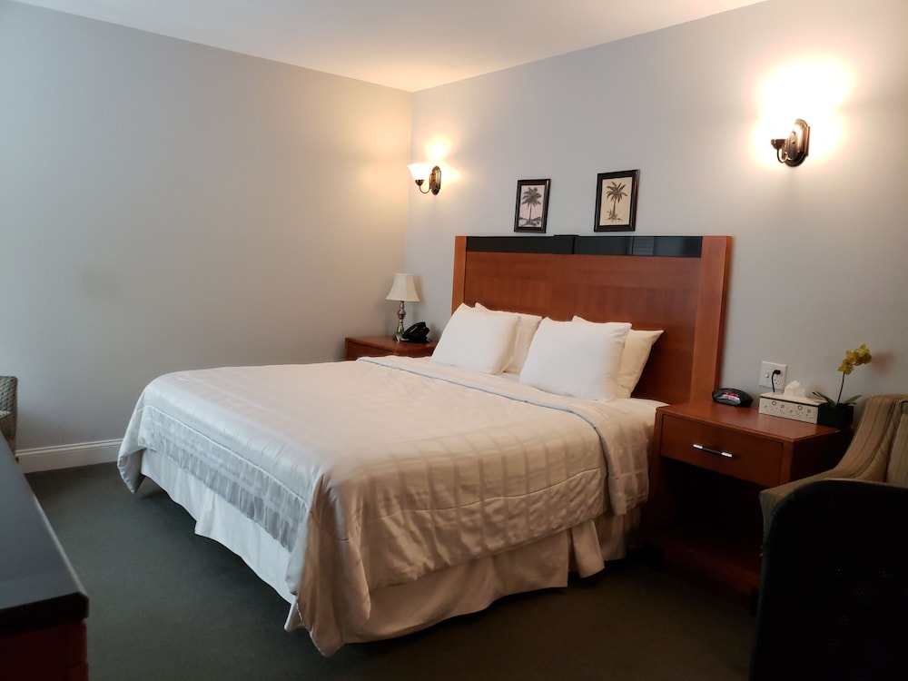 Superior Room, 1 King Bed, Kitchen