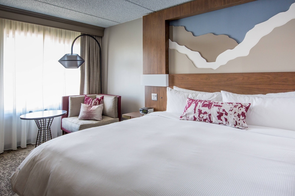 Room, 1 King Bed with Sofa bed
