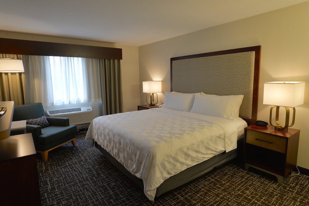 Suite, 1 Bedroom