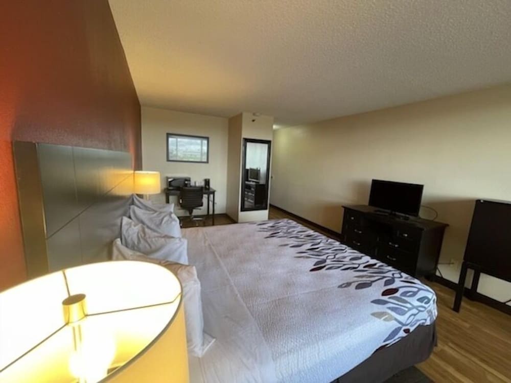 Room, 1 King Bed photo 3