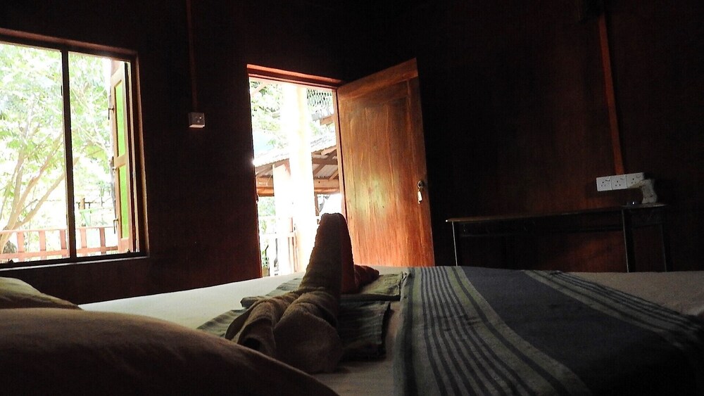 Traditional Double Room photo 1
