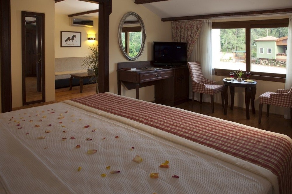 Premium Suite photo 1