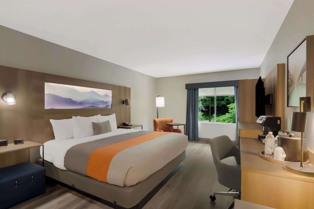 1 King Bed, Non Smoking - Photo 3