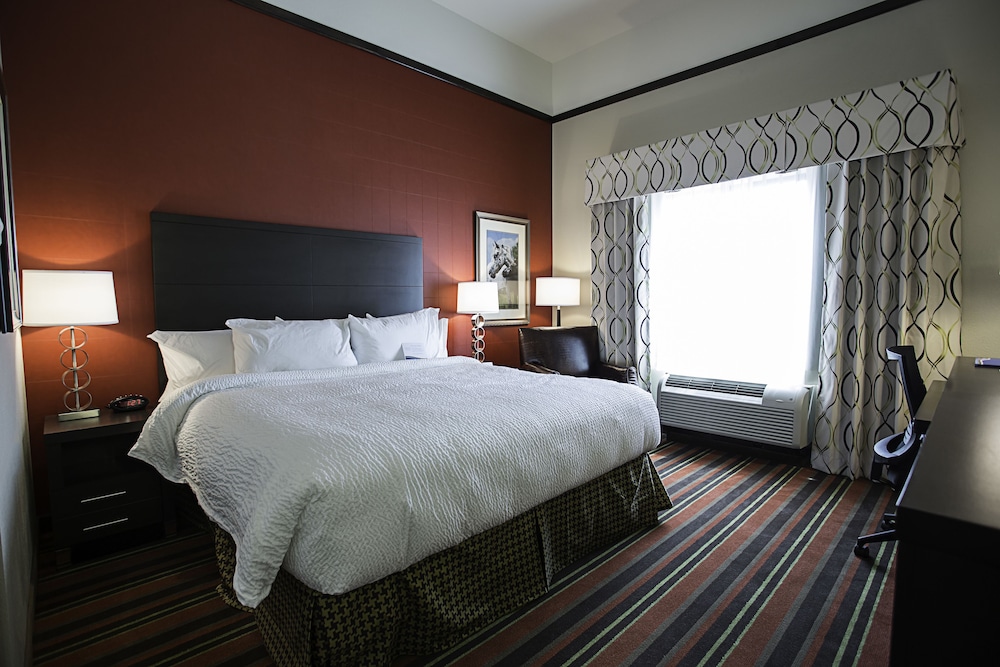 Room, 1 King Bed