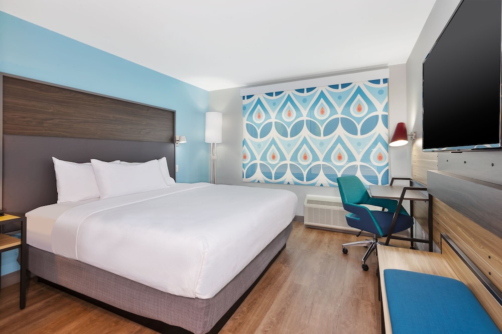 Room, 1 King Bed