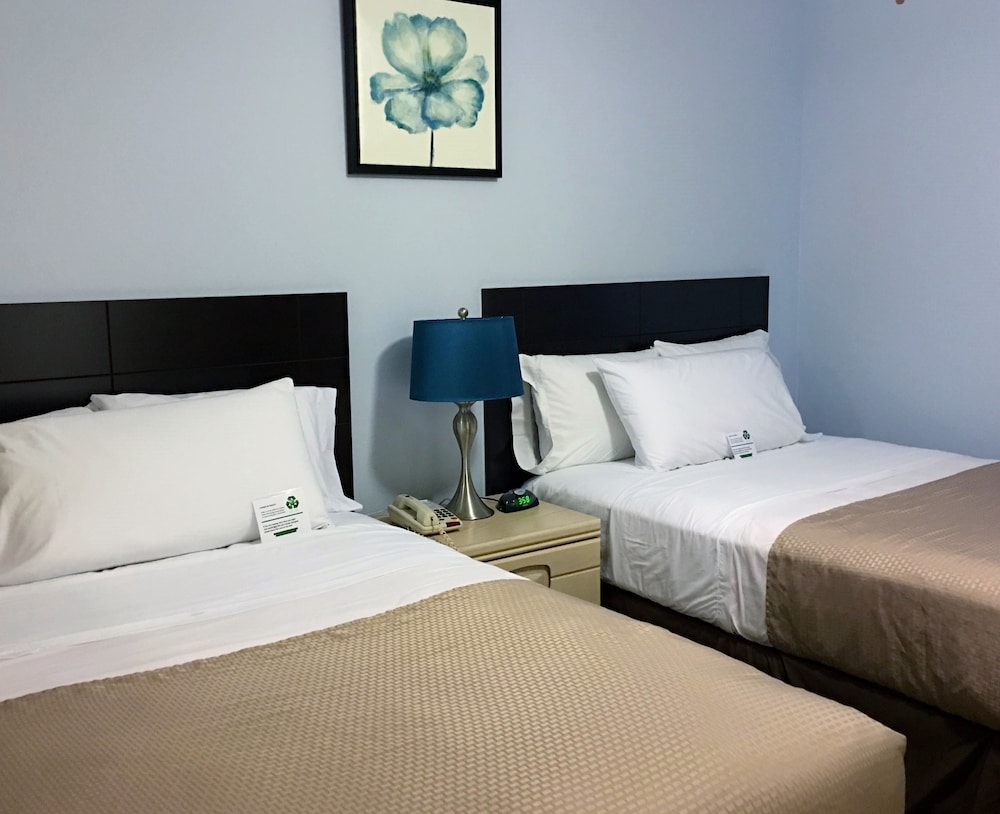 Standard Suite, 2 Double Beds - Photo 1