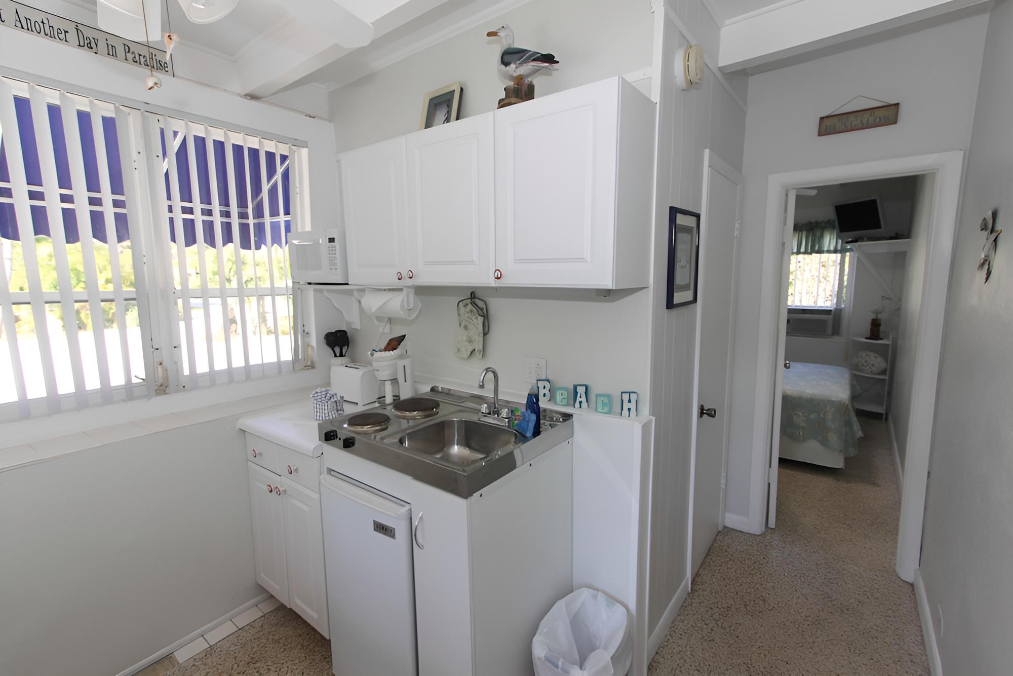 Standard Studio, Shower Only, Mini Fridge, Microwave photo 2
