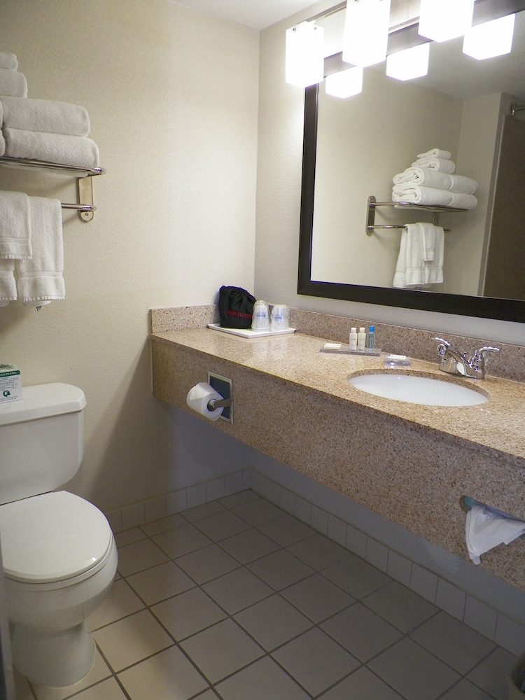 Suite, 1 King Bed with Sofa bed, Accessible Bathtub, Jetted Tub - Photo 6