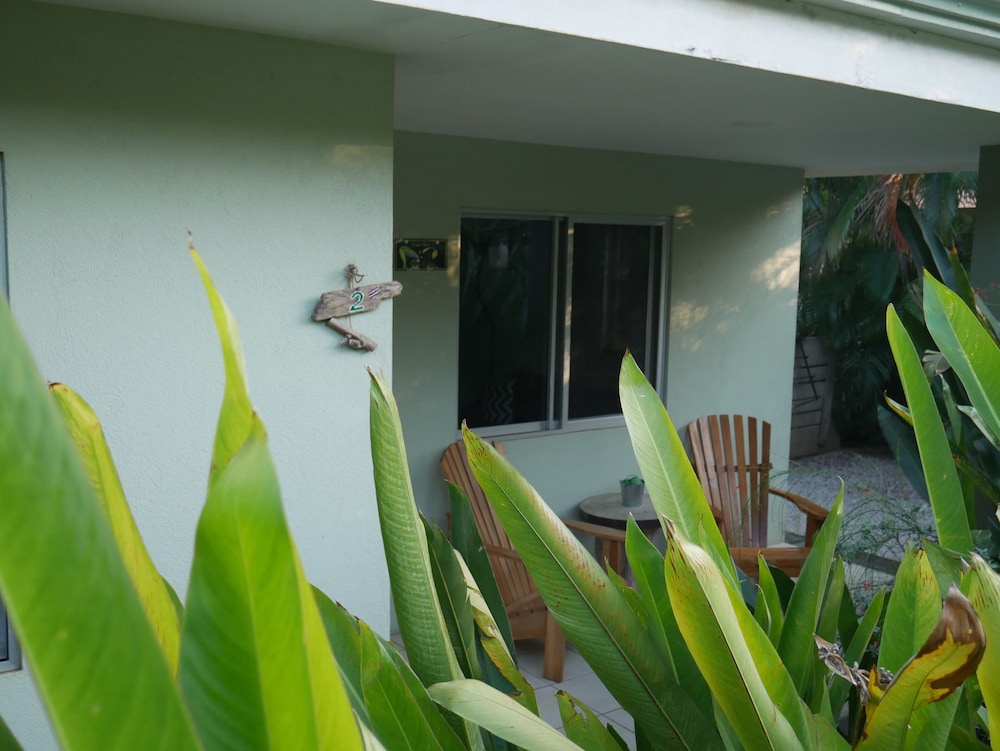 Premium Villa photo 2