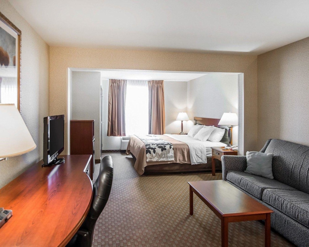 Suite, 1 King Bed, Non Smoking photo 1