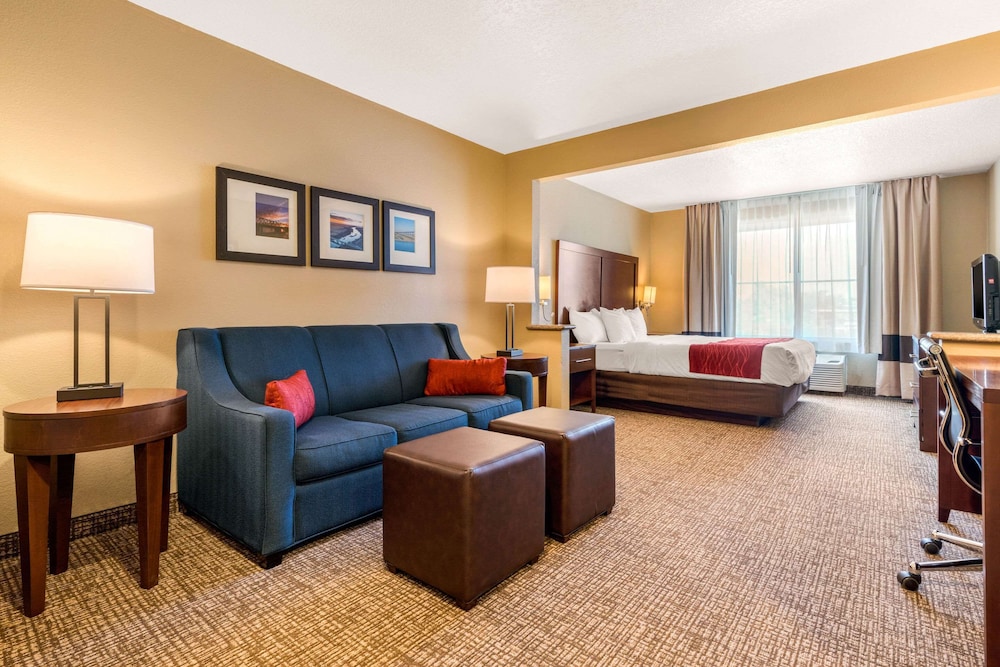 Suite, 1 King Bed, Non Smoking - Photo 1