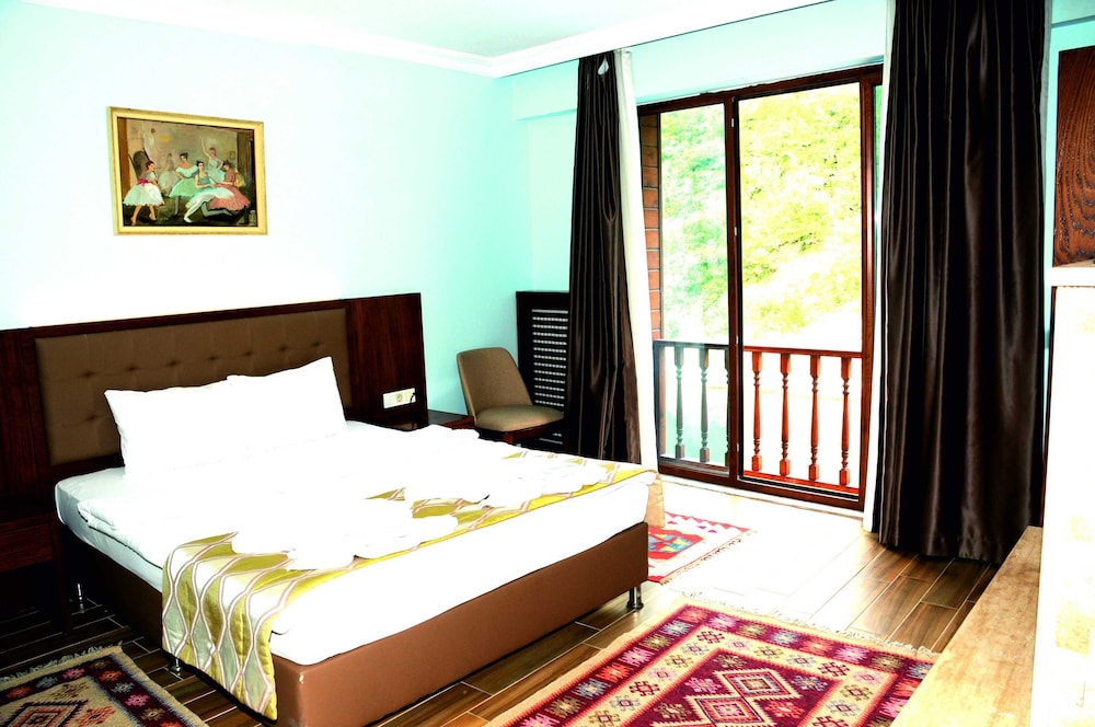 Double Room, Fireplace, River View photo 1