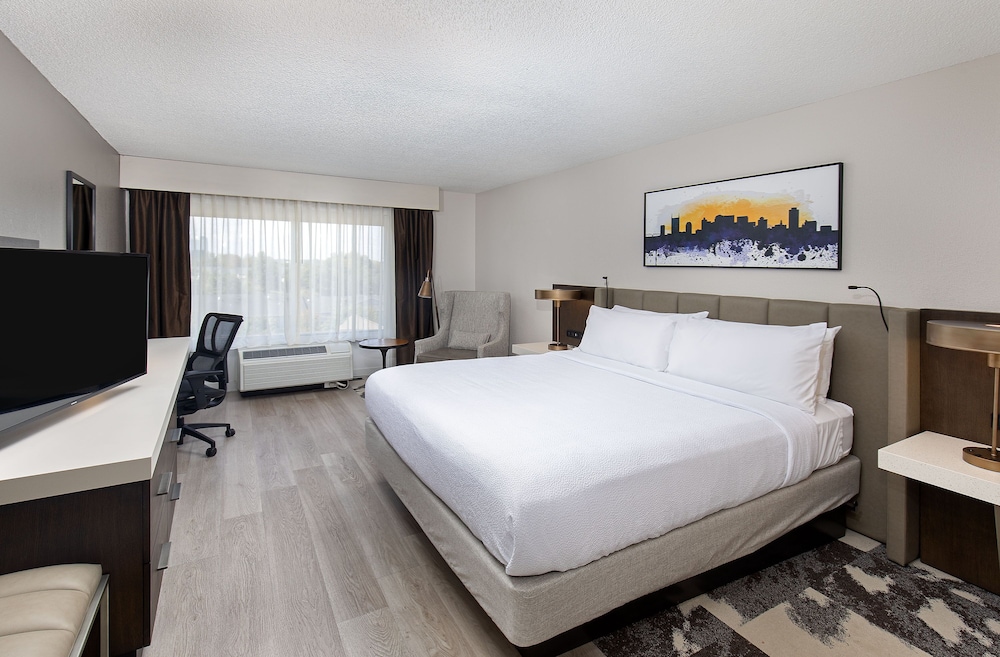 Deluxe Single Room, 1 King Bed, Accessible, Roll-In Shower photo 1