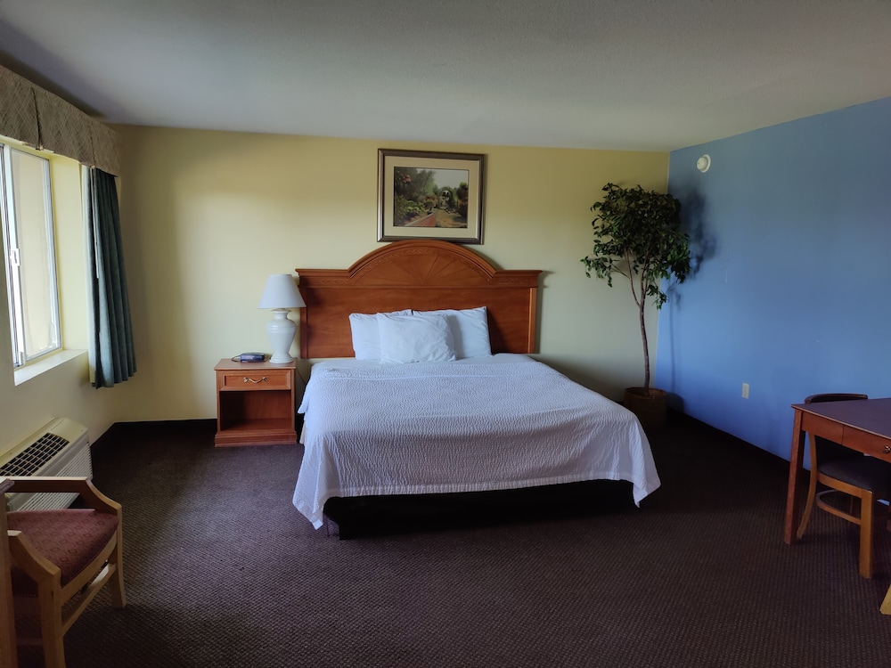Suite, 1 Bedroom, Smoking photo 2